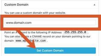 Set the custom domain to either domain.com or www.domain.com then click the Set Custom Domain button.