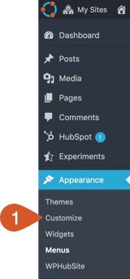 WPHubSite WordPress admin dashboard menu click Appearance then Customize.