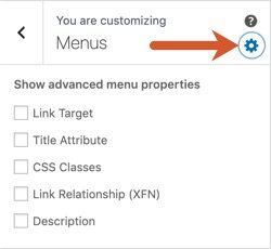 Click the gear icon in the WPHubSite Theme customizer Menus section to turn on advanced menu properties.