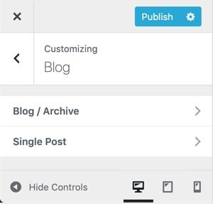 WPHubSite WordPress Theme Customizer blog settings.