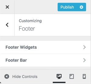 WPHubSite WordPress Theme Customizer footer settings.