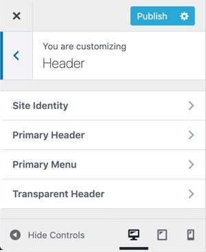 WPHubSite WordPress Theme Customizer header settings.
