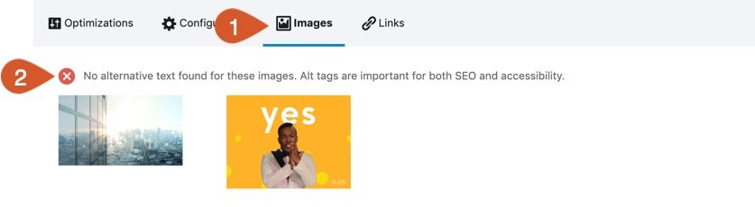 Reviewing any missing SEO information from images.