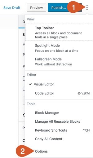 Access WordPress Standard Editor (block editor) Options from the menu.