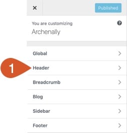 WordPress Customizer Header option.