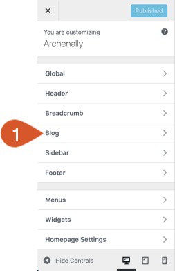 WordPress Theme Customizer Blog Section