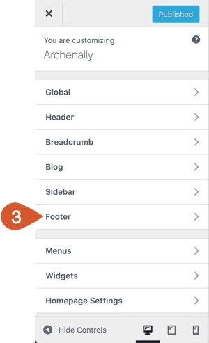 WPHubSite WordPress customizer Footer option.