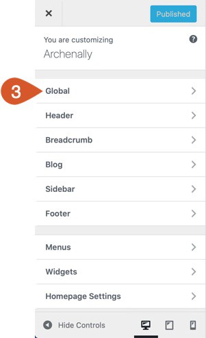 WPHubSite Theme Customizer Global settings.