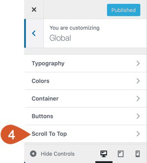 WPHubSite Theme Customizer Scroll To Top button option.